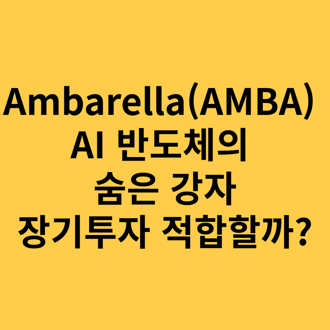 AMBA AI반도체의 숨은 강자 장기투자 적합할까?