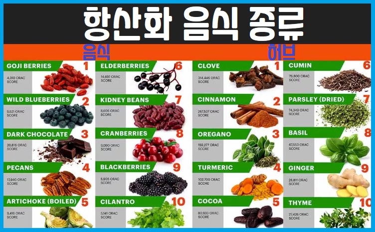 항산화 식품 음식 허브 종류