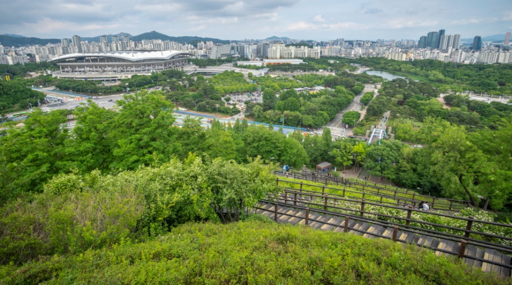 서울 파크골프장 TOP 7 / 입문자부터 시니어까지 추천 코스 총정리