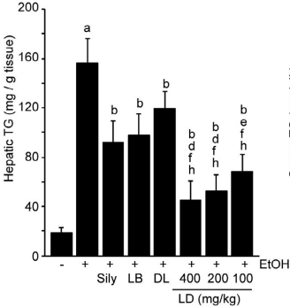 레몬밤단델리온추출물의 간에서의 지방 축적 억제 효능(J Food Biochem. 2020)