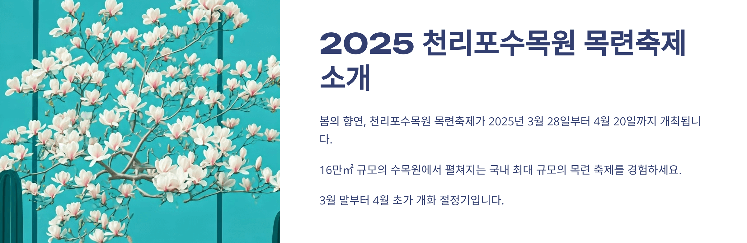 천리포수목원 목련축제