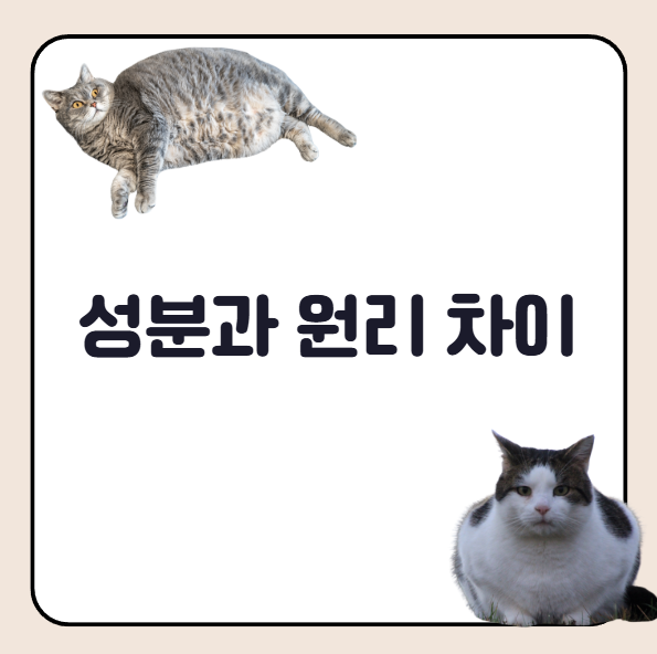 다이어트 주사제 성분과 원리 차이