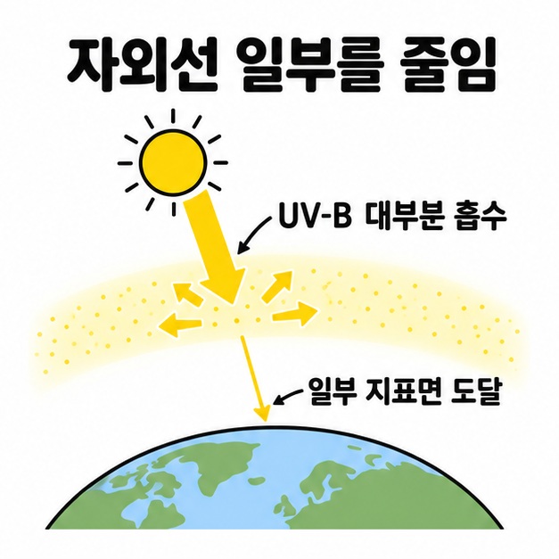 오존층에서 UV-B의 대부분이 흡수되고 일부만 지표면에 도달하는 도식
