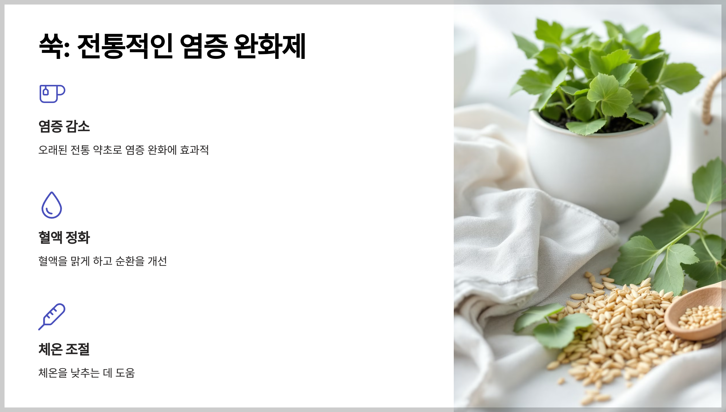 통풍에 좋은 약초 추천