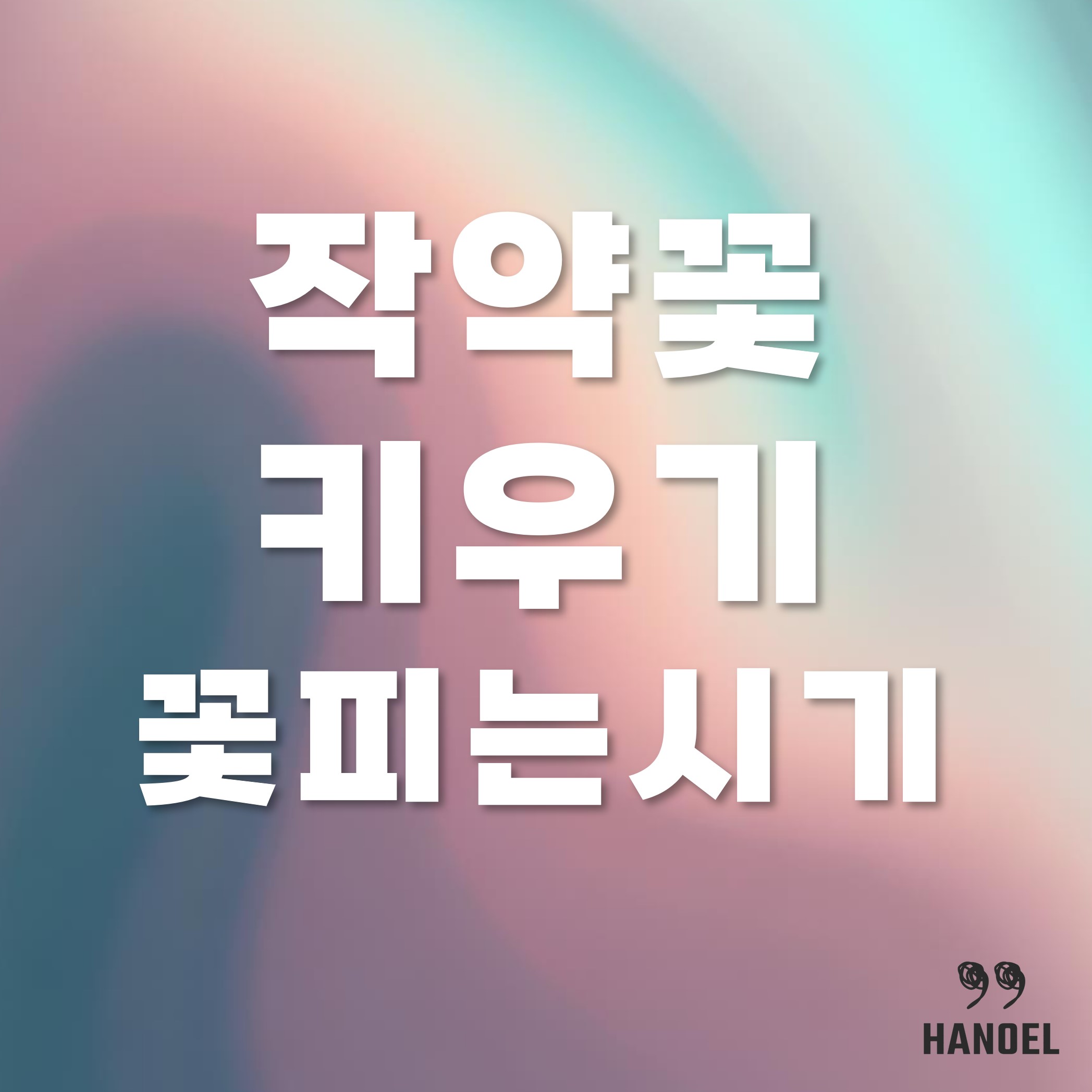 작약꽃 키우기 - 꽃말과 꽃피는시기