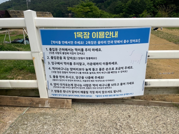 남해 양마르뜨