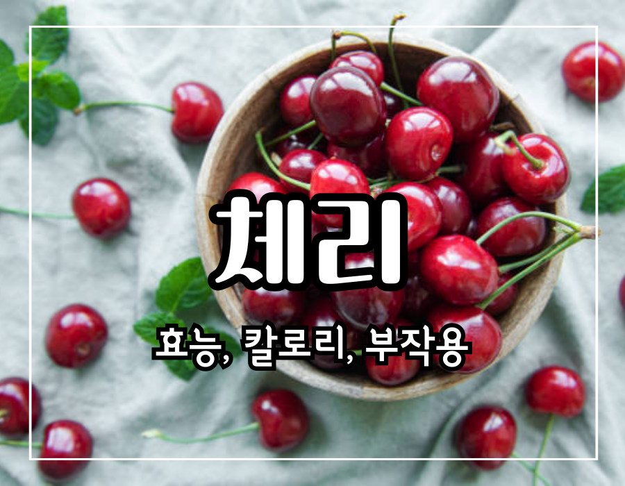 체리 효능 10가지 칼로리 및 부작용