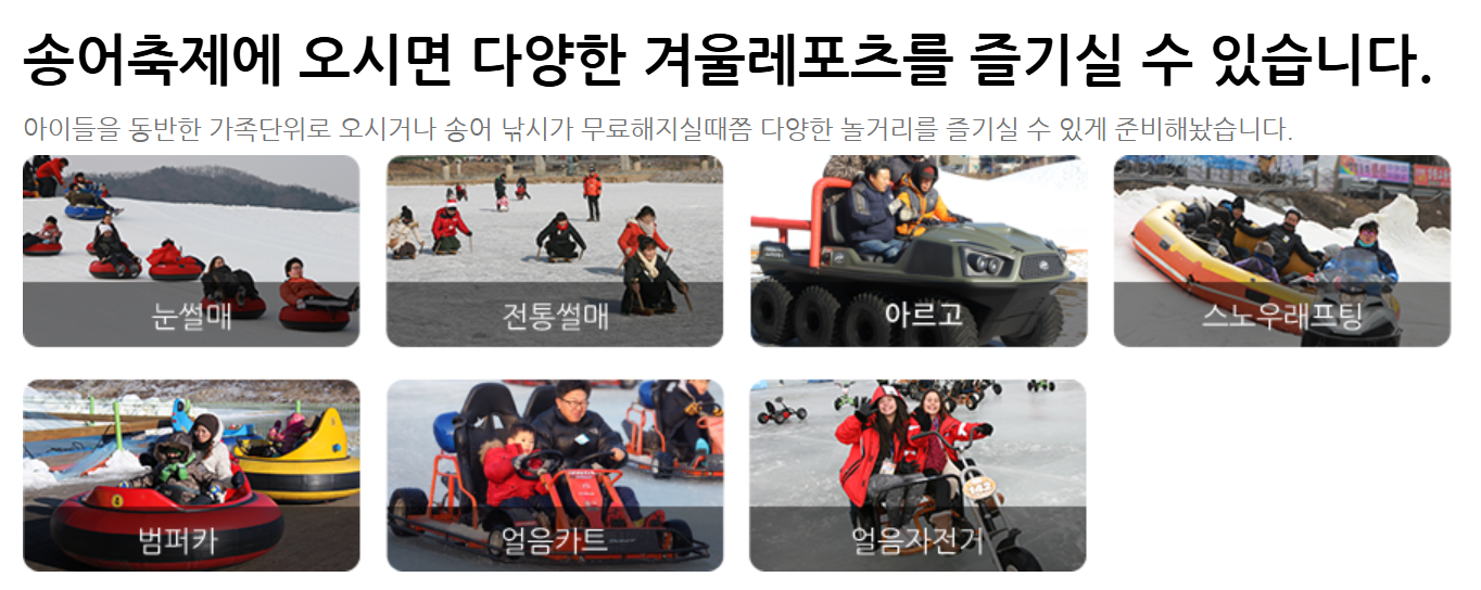 주요 프로그램 및 활동