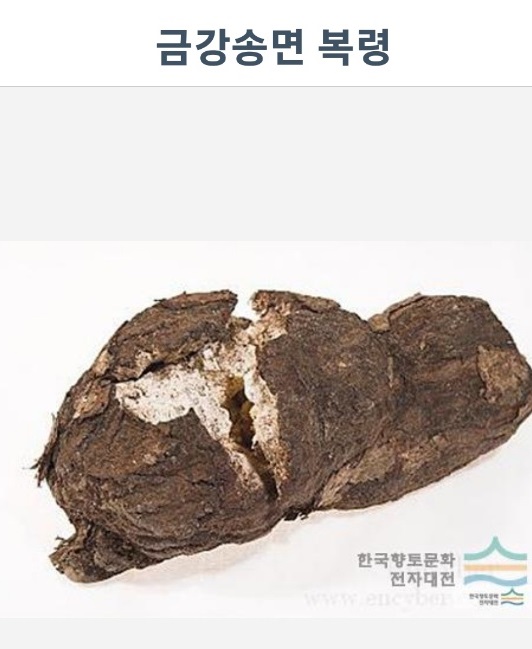 금강송면복령