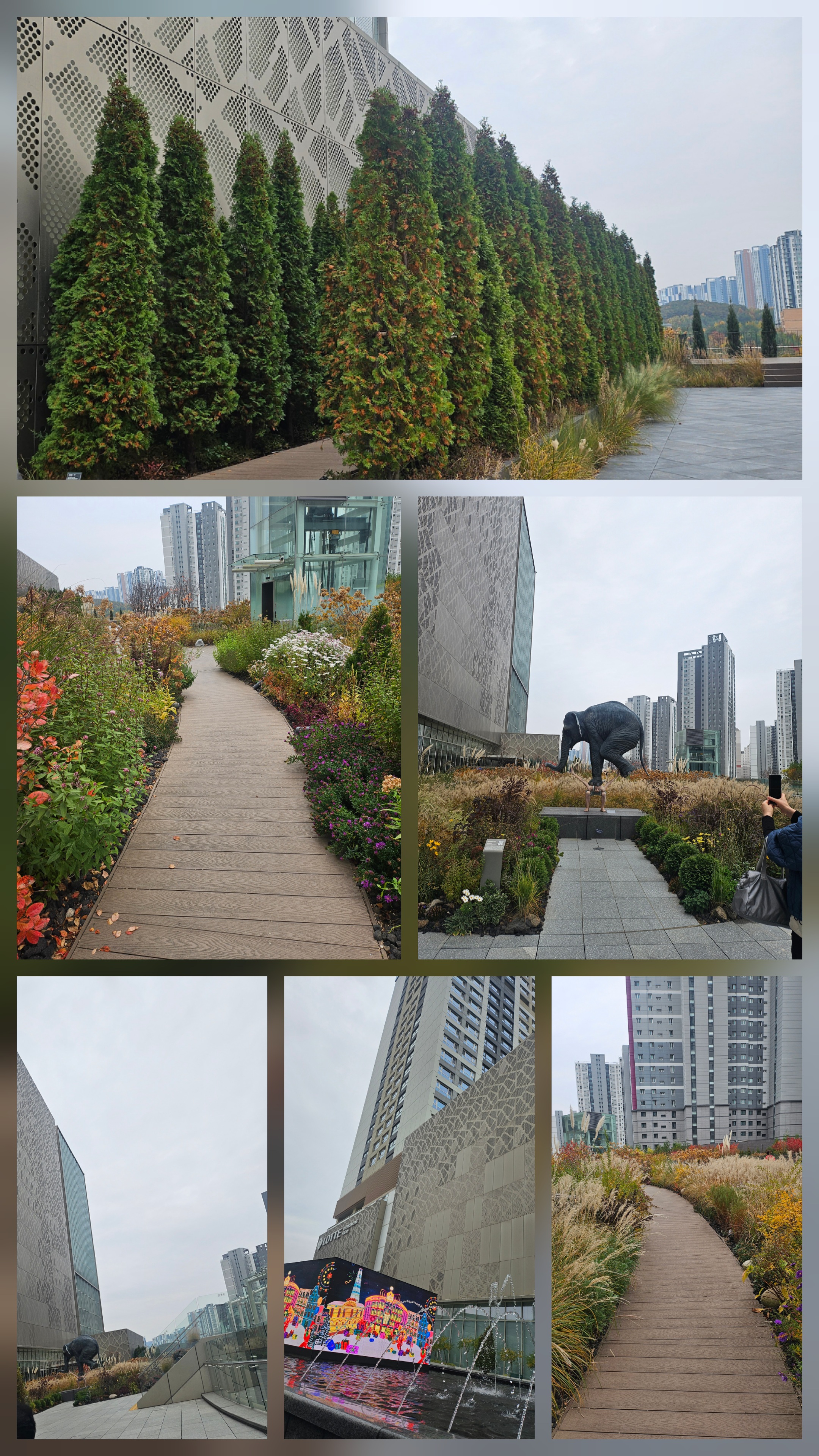 동탄 센트럴파크에서 만난 가을, 롯데백화점 들렀다가 산책까지 완벽했던 하루