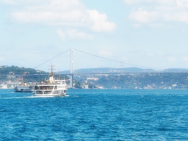 딥엘 번역기 다운로드