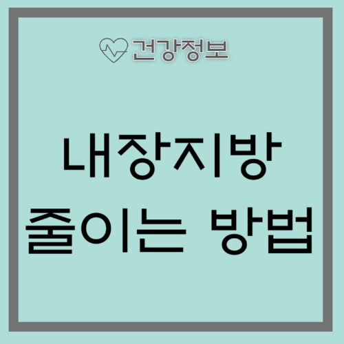 내장지방 빼는법