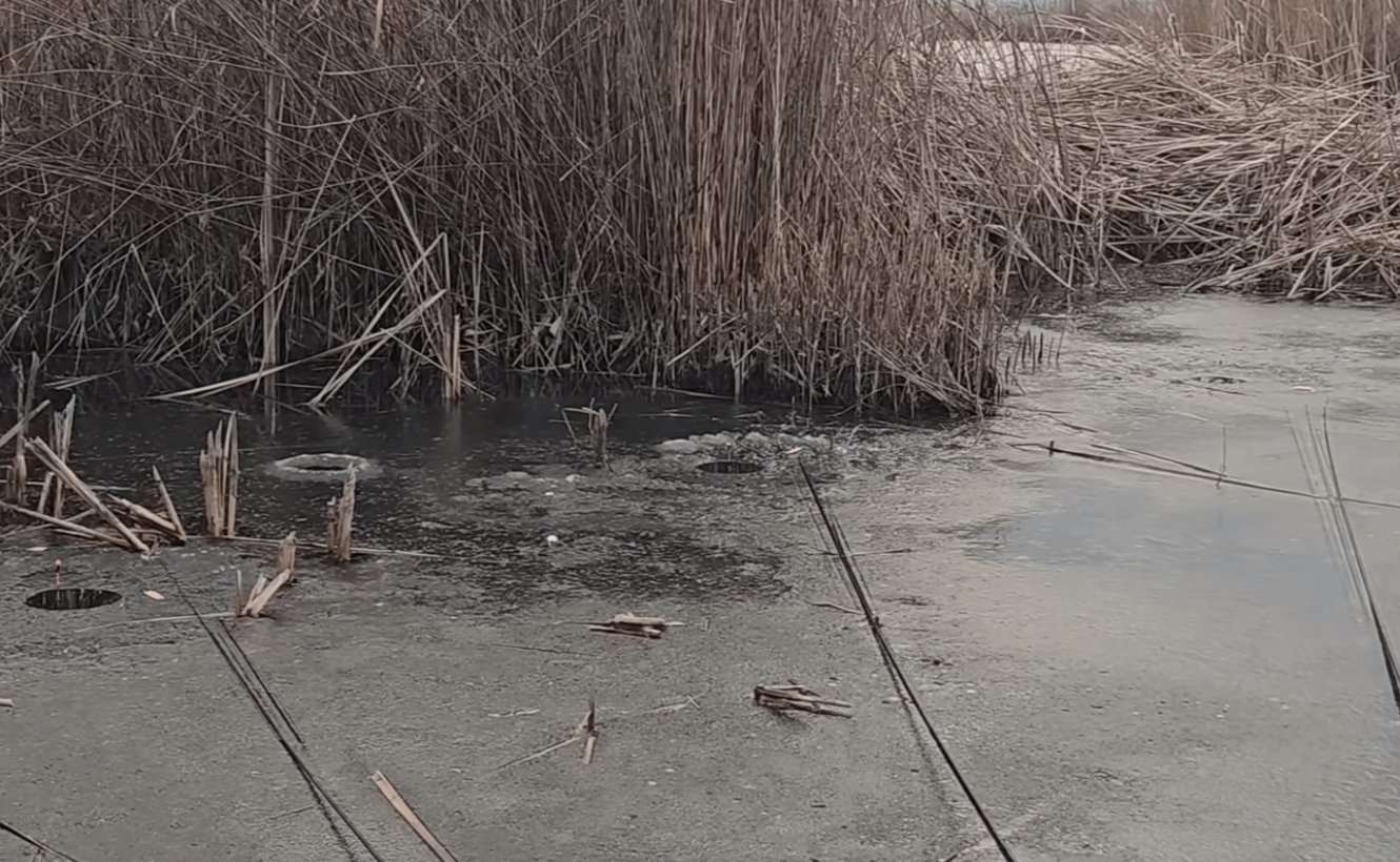 실전 조황 리포트