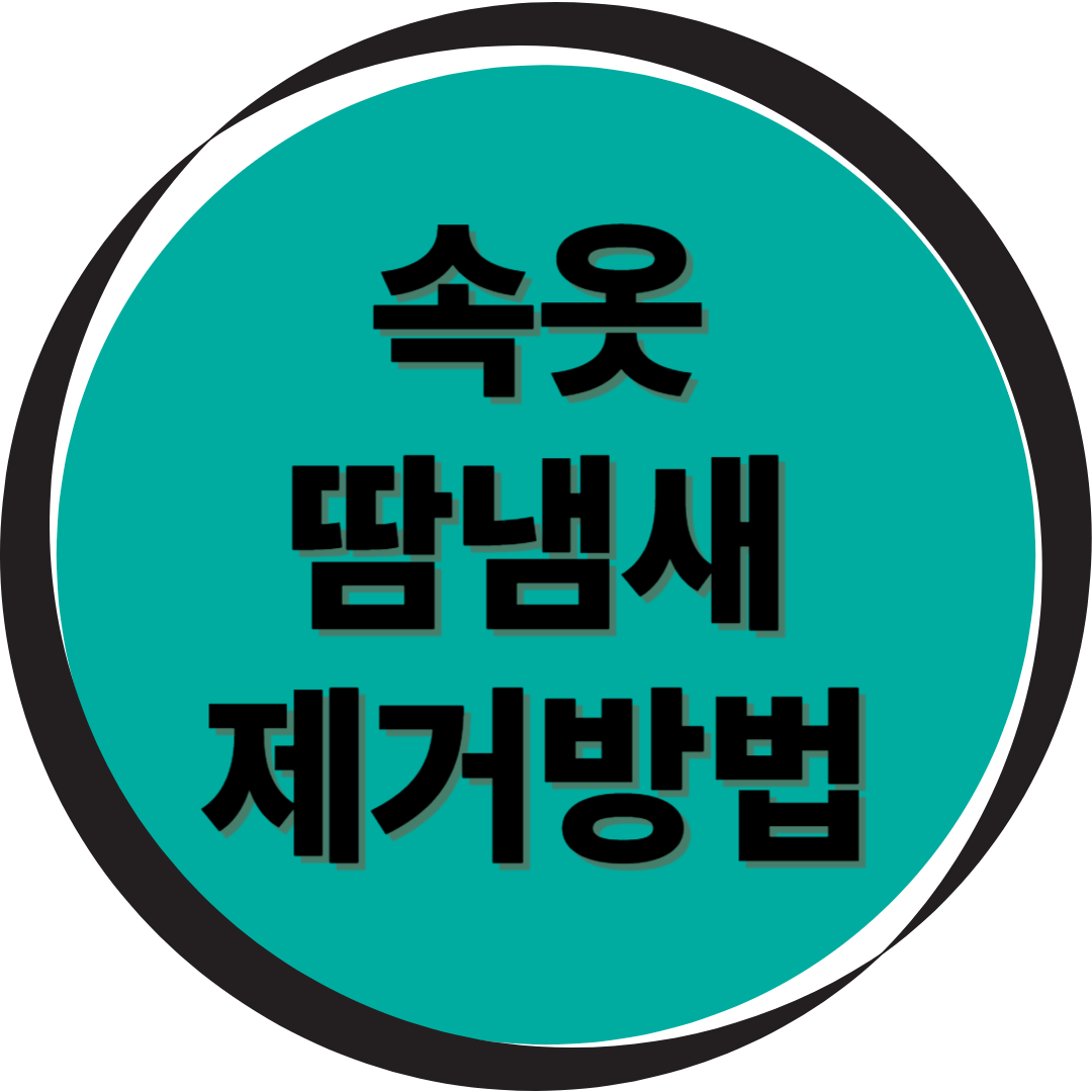 속옷 땀냄새 제거법