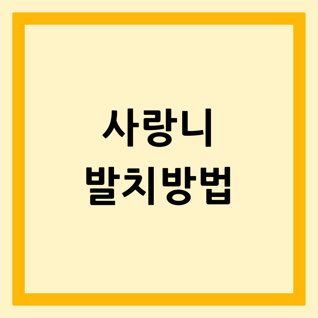 사랑니발치방법