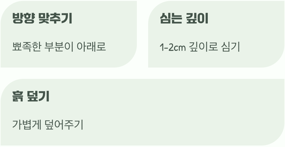 새싹을 위한 아늑한 흙집 짓기