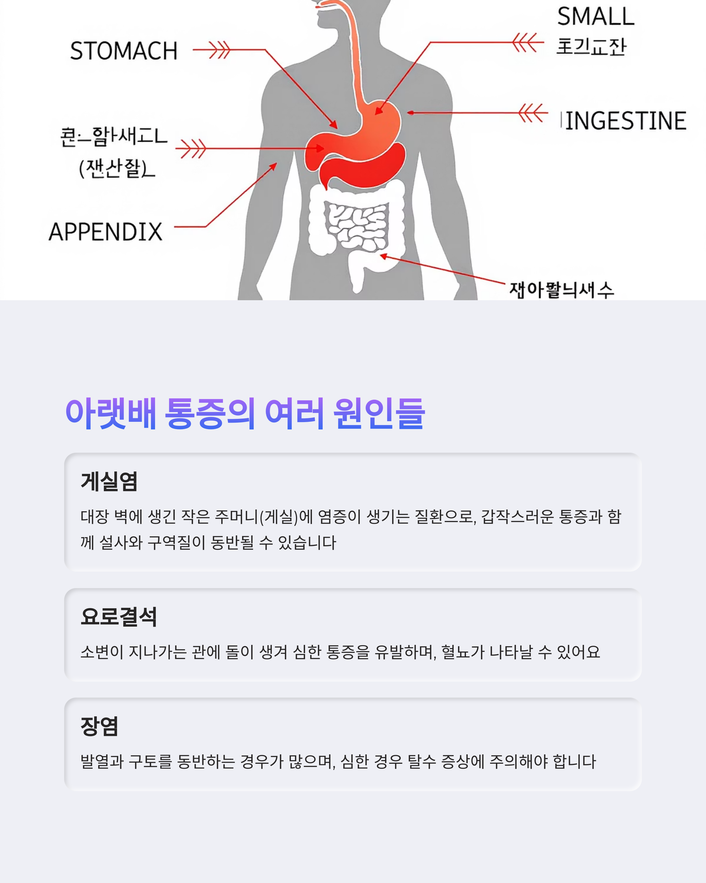 오른쪽 아랫배 통증3