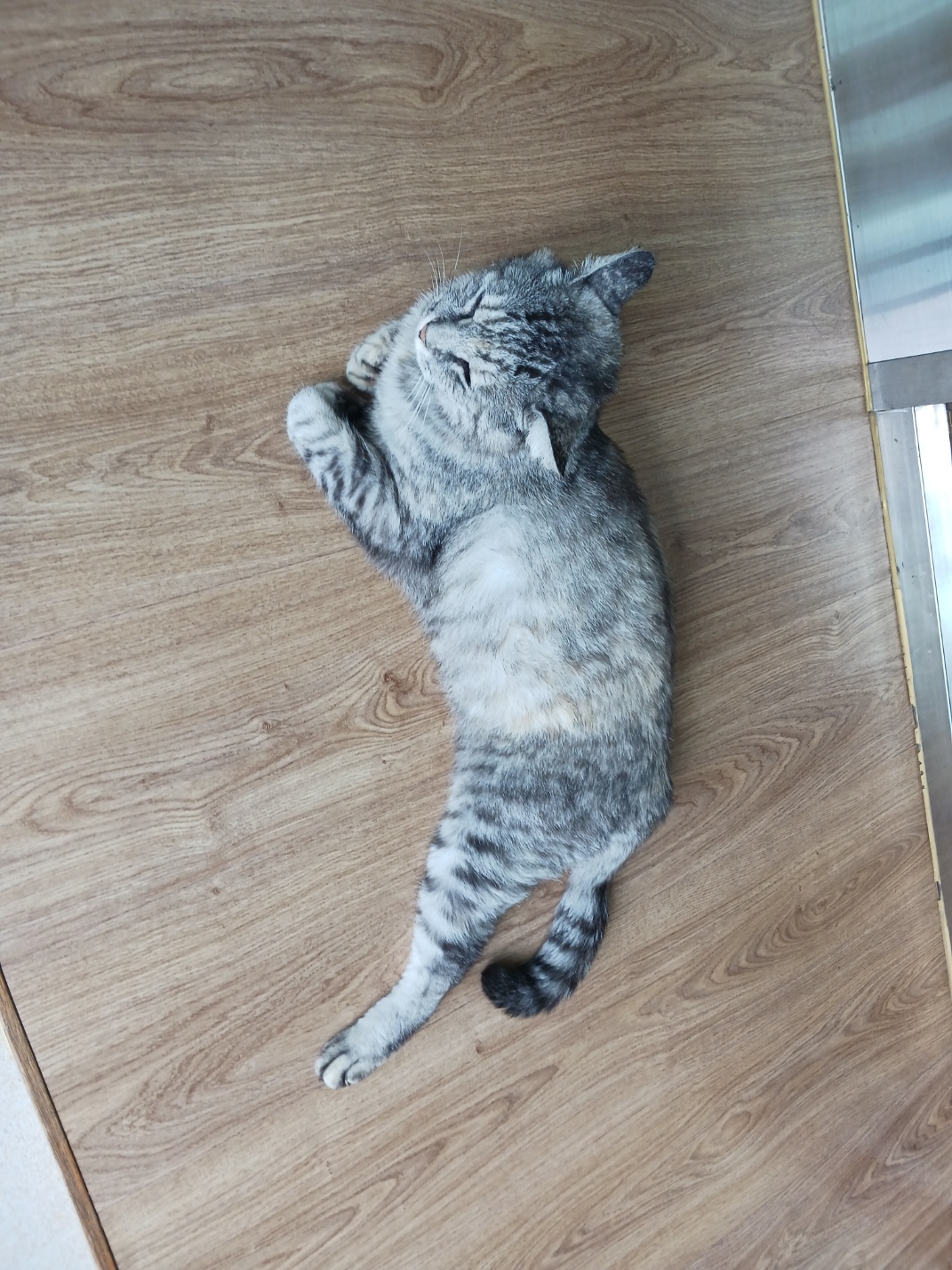 홍두깨