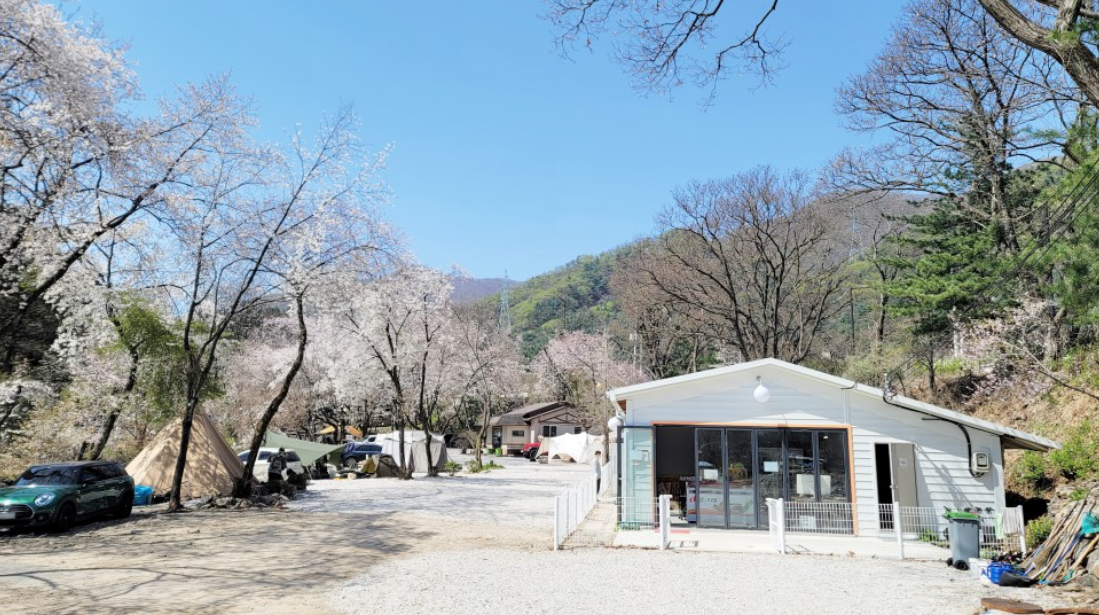 딥포레스트캠핑장