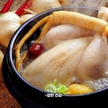 삼계탕 맛있게 끓이는법