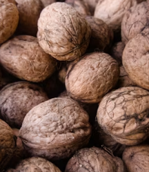 호두 효능과 부작용 하루섭취량 먹는방법 고르는법