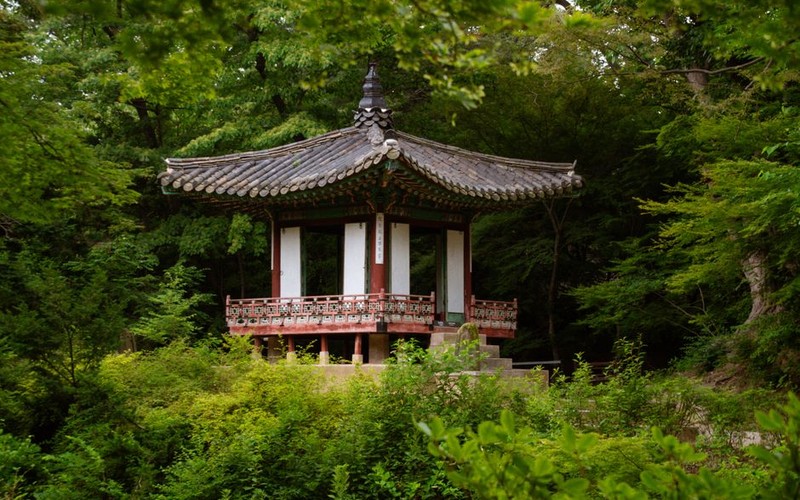 창덕궁 후원 산책 2025 예약 방법과 입장료&middot;추천 코스 총정리 - 시각