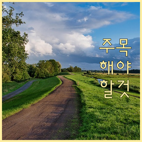 성수동에서 쓰레기 버리기? 일반, 음..