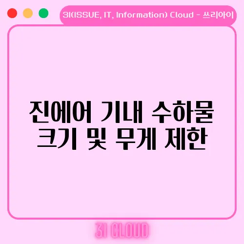 진에어 기내 수하물 크기 및 무게 제한