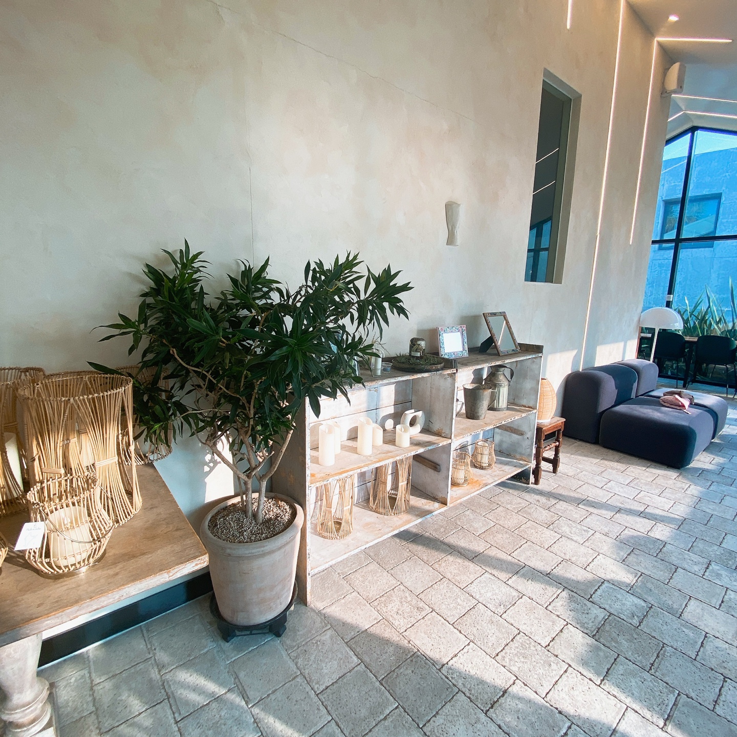 제주 안덕 유채꽃 포토존 오션뷰 카페 휴일로