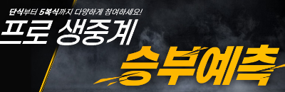 타이젬바둑