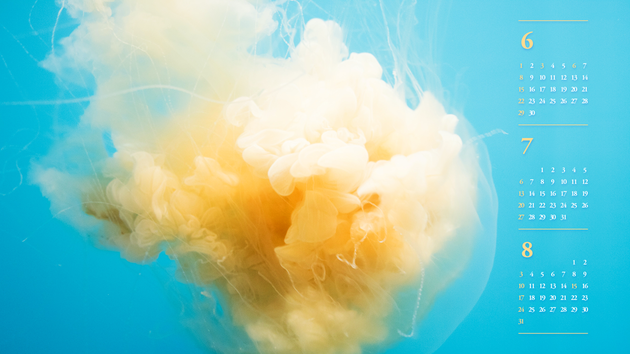 02 해파리 구름 B - 2025년7월 노트북배경화면