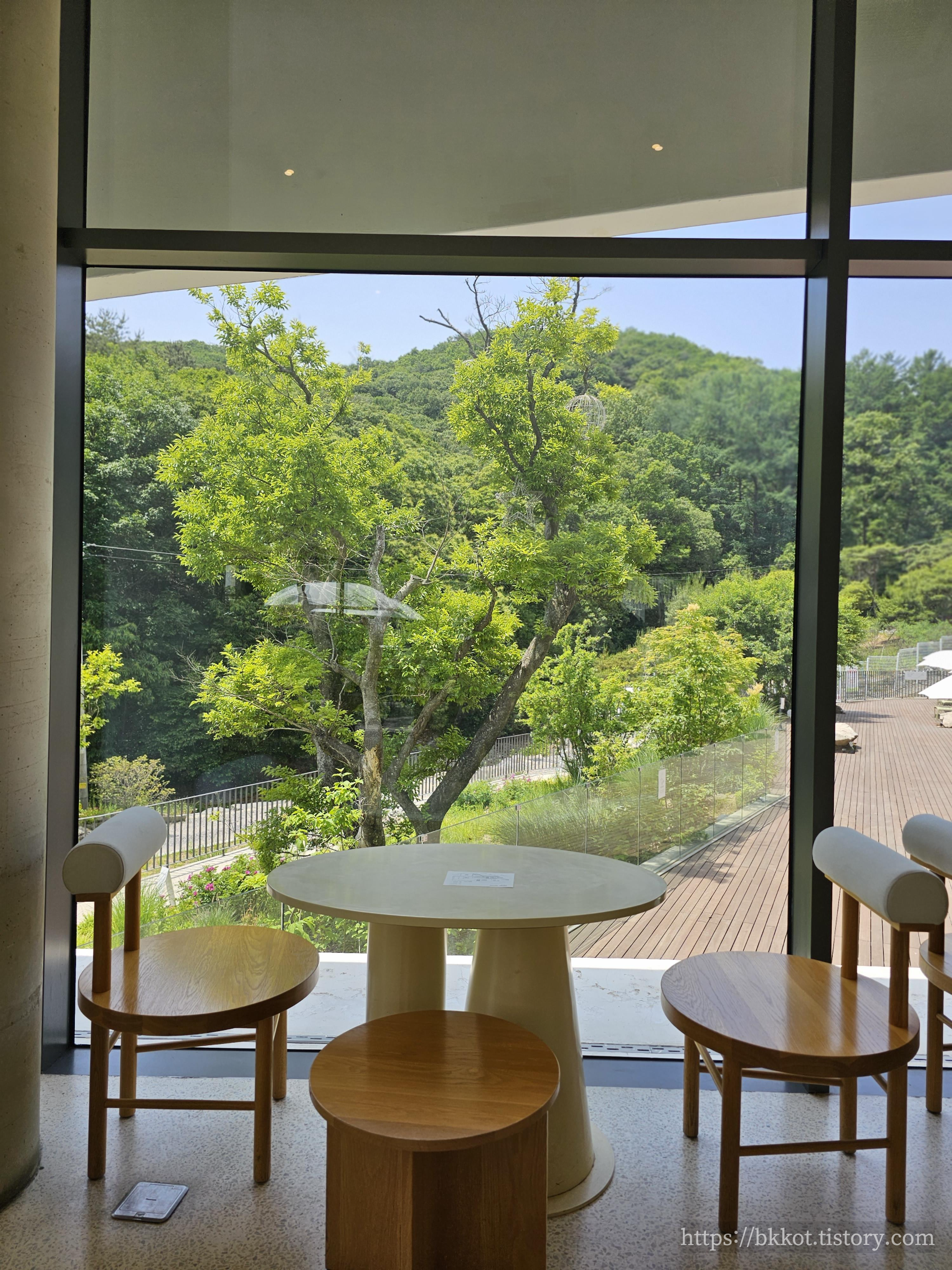 모아니 카페 사진