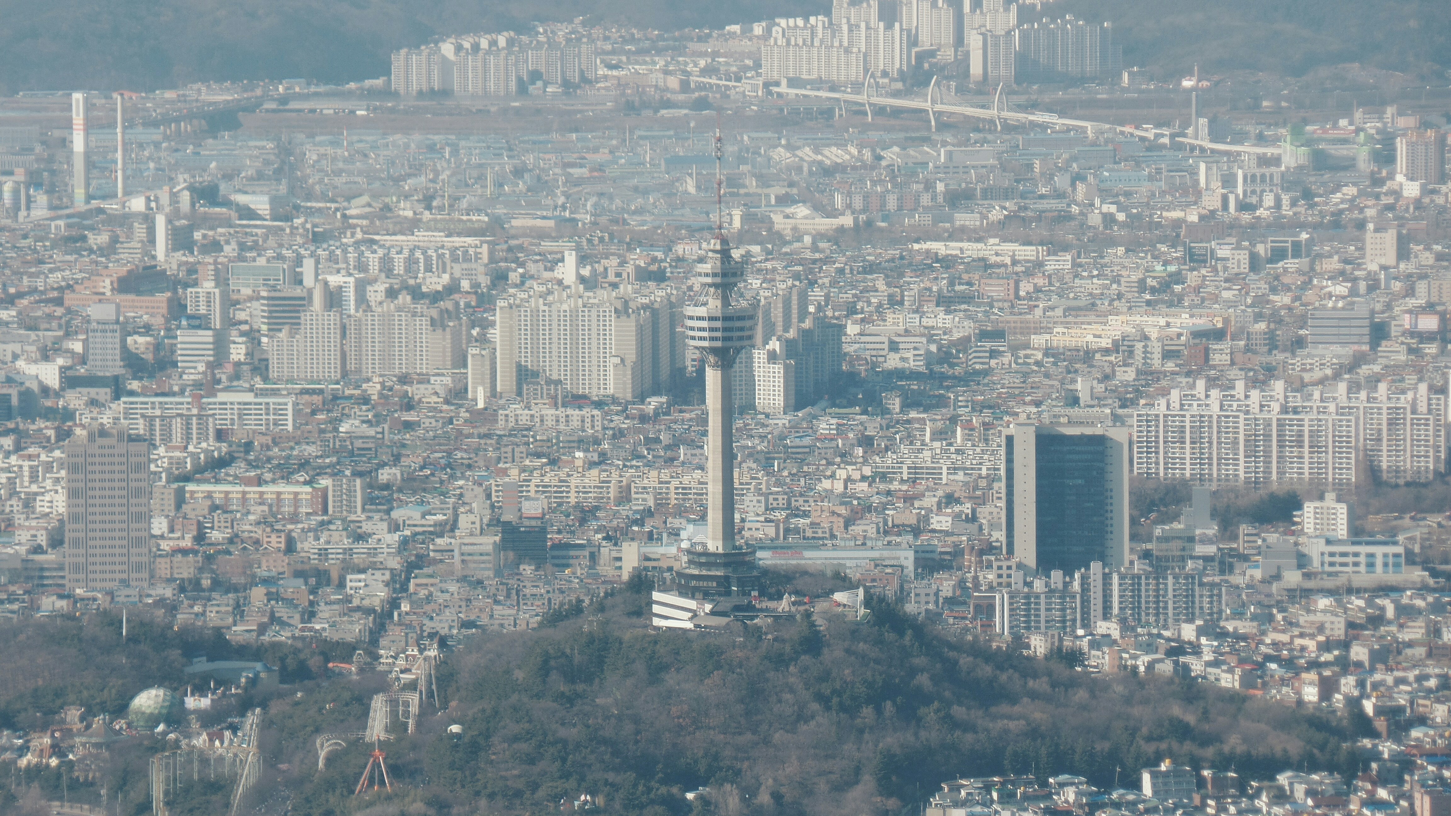 경북의 중심지역 대구광역시 관련사진