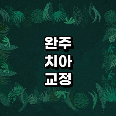 완주군 교정 치과