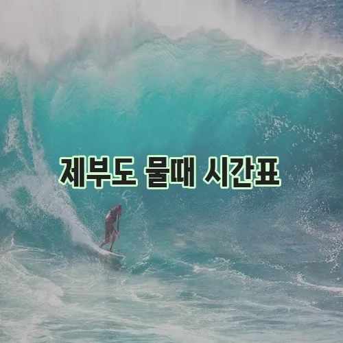 제부도 물때 시간표
