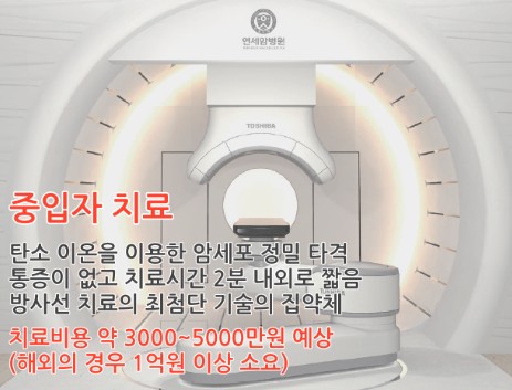 중입자 치료기 모습