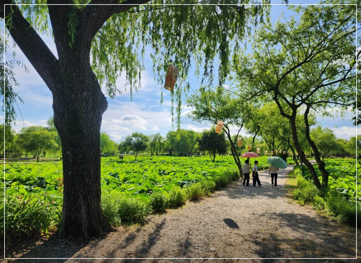 부여 가볼만한곳 베스트10 서동공원