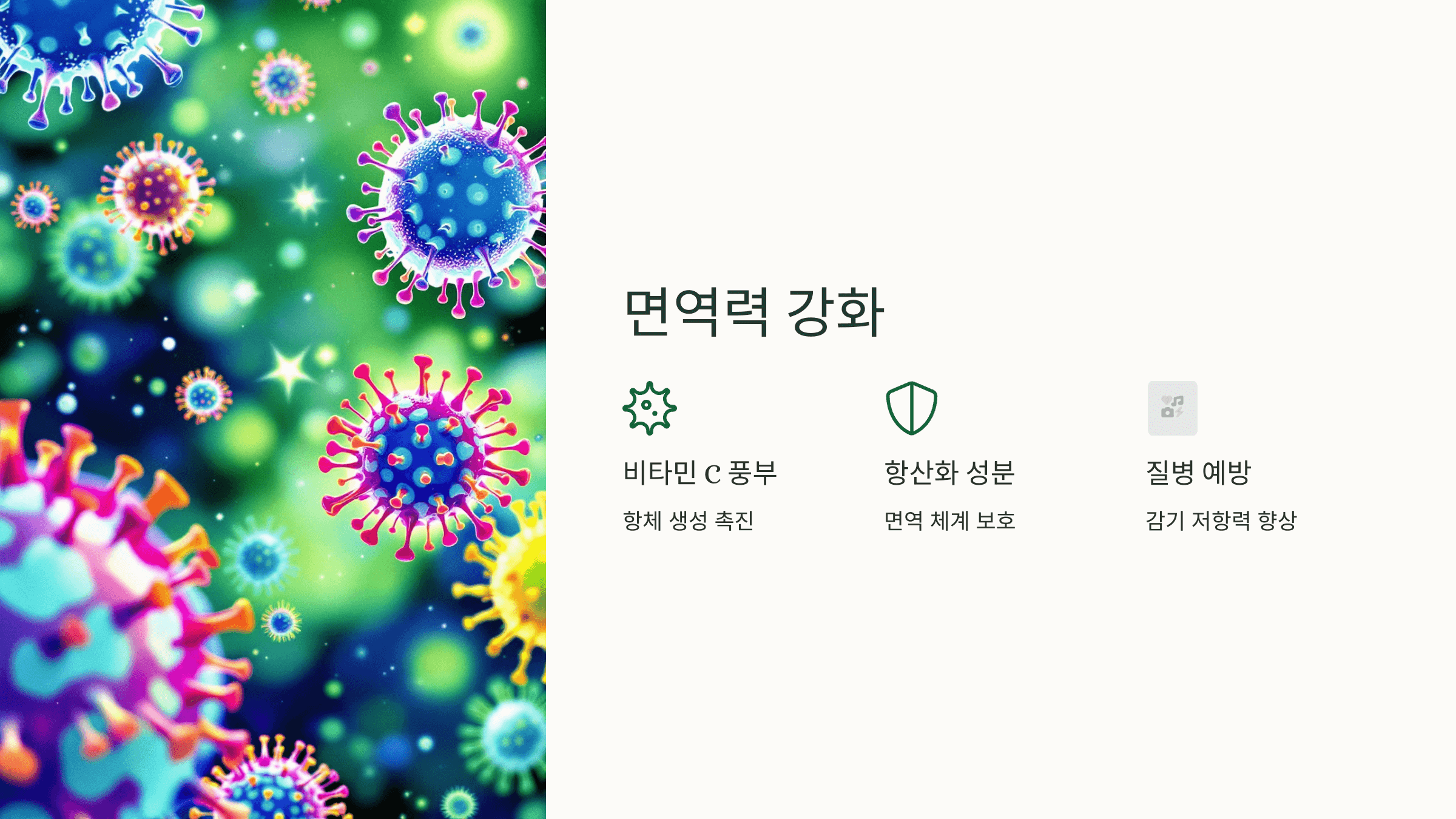 양배추 사진입니다.