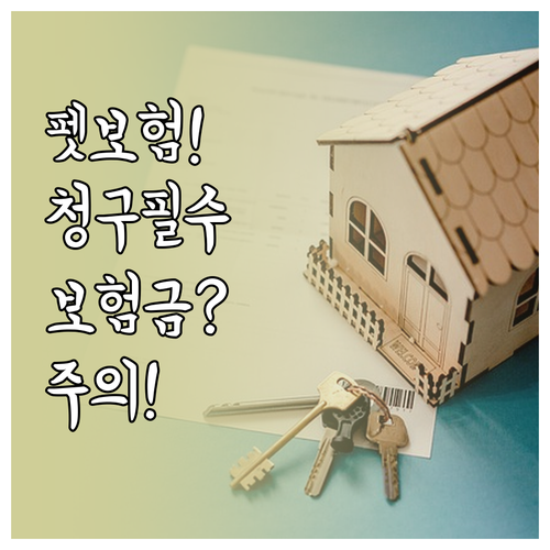 펫보험 보험금 청구 필수 서류와 주의..