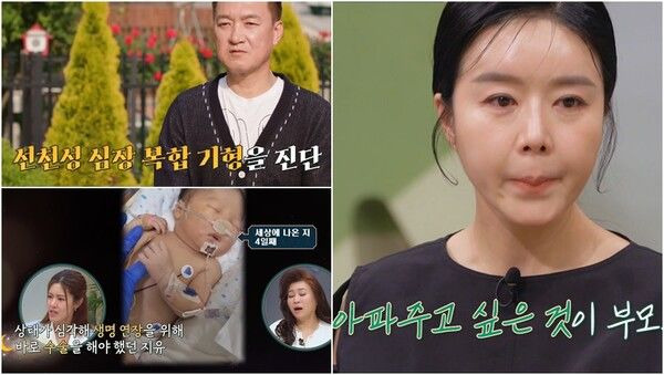 배우 이상이 나이 프로필 학력 고향 작품 딸 남편 박동빈 사별 근황 총정리