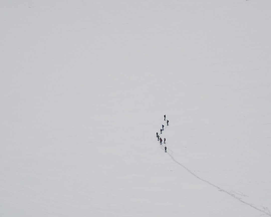 Expedition