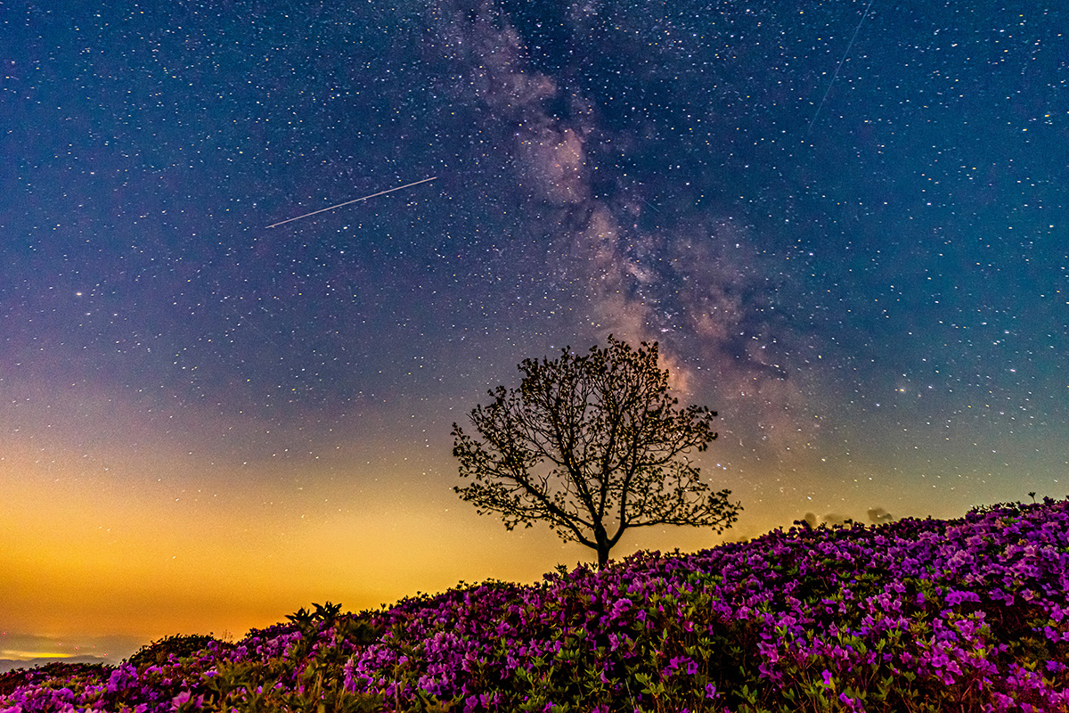 제28회 황매산 철쭉제 기본일정과 프로그램 소개