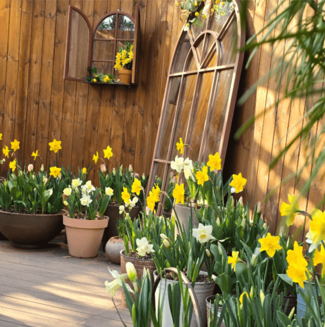 화담숲 화담채 모노레일 사전 예약&amp;#44; 할인받고 예매 하기
