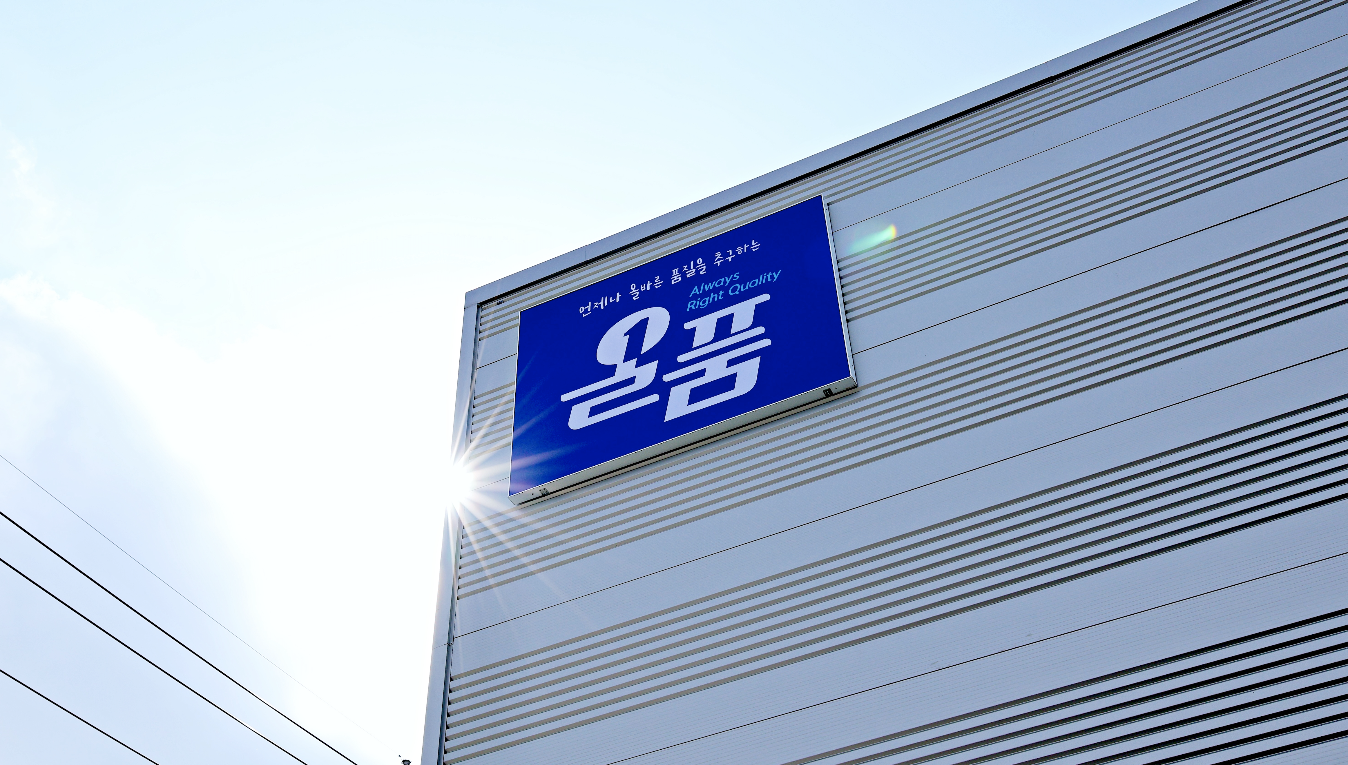 올품 케이블타이