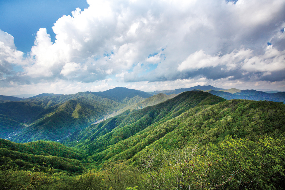 광양 백운산 대표 등산코스 및 등산지도