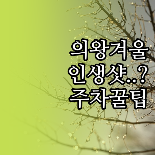 의왕시 겨울 가볼만한곳 명소 추천 및..