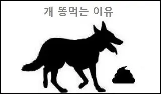 개 똥먹는 이유