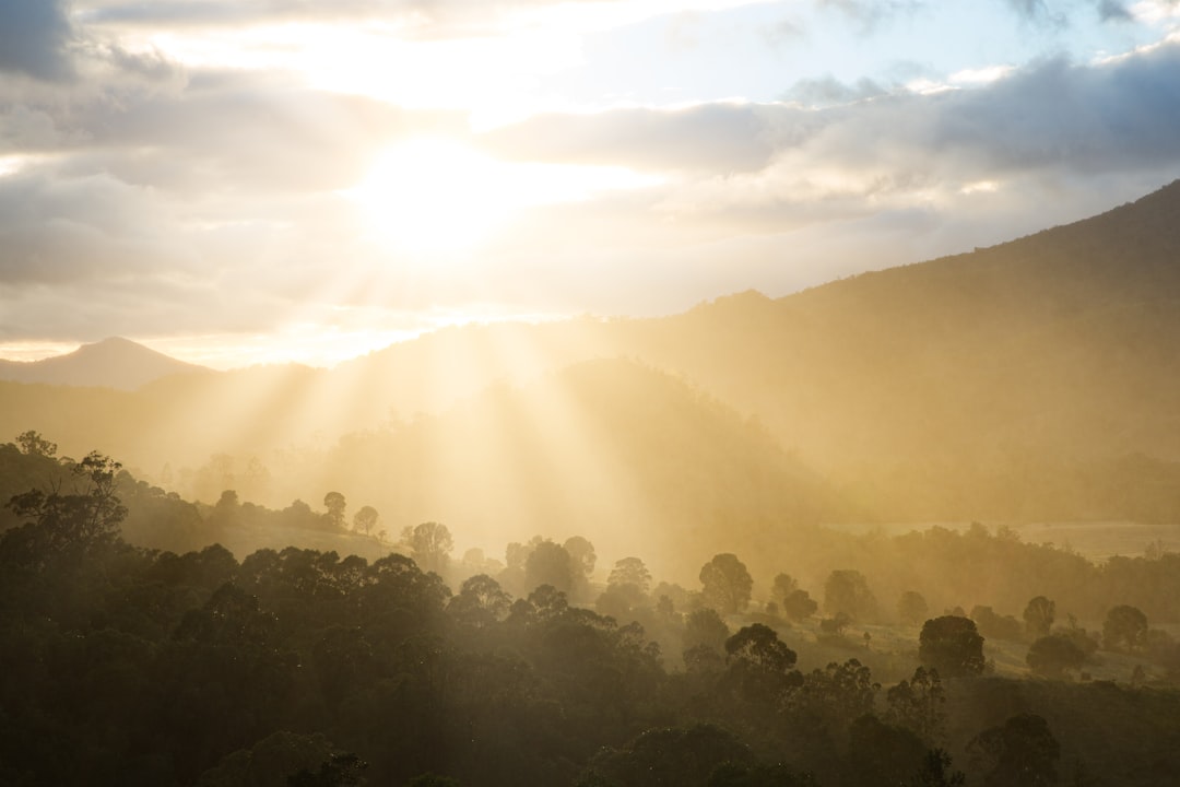 Sunlight
