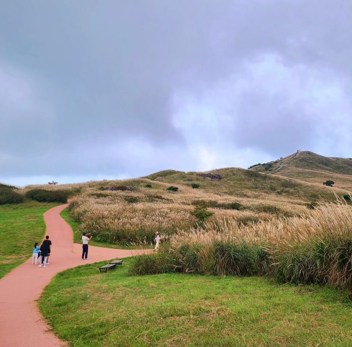 황매산 억새축제기간