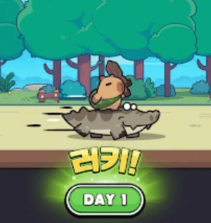 카피바라 고 쿠폰